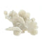 Table Decorations Large White Coral Tabletop Decor
