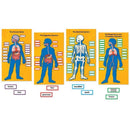 HUMAN BODY BB SET-Learning Materials-JadeMoghul Inc.