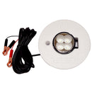 Hydro Glow FFL12 Floating Fish Light with 20 Cord - LED - 12W - 12V - Green [FFL12G]-Accessories-JadeMoghul Inc.