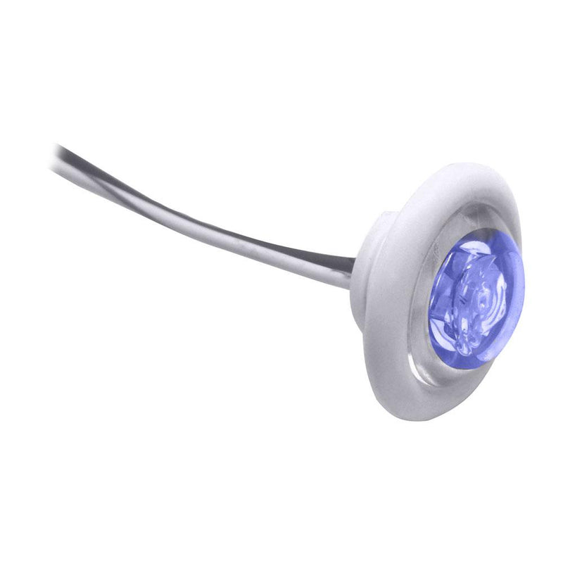 Innovative Lighting LED Bulkhead-Livewell Light "The Shortie" Blue LED w- White Grommet [011-2540-7]-Interior / Courtesy Light-JadeMoghul Inc.