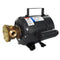 Jabsco Bronze AC Motor Pump Unit - 115v [11810-0003]-Washdown / Pressure Pumps-JadeMoghul Inc.