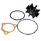 Jabsco Impeller Kit - 8 Blade - Nitrile - 1-1-4" Diameter [14750-0003-P]-Impellers-JadeMoghul Inc.