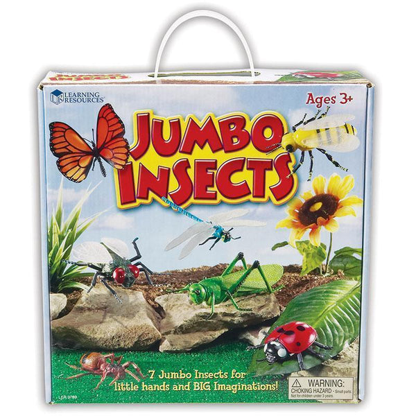 JUMBO INSECTS-Learning Materials-JadeMoghul Inc.
