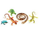 JUMBO REPTILES AND AMPHIBIANS-Learning Materials-JadeMoghul Inc.