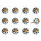 Knobs Door Knobs - 1.5" x 1.5" x 1.5" White, Teal and Gold - Knobs 12-Pack HomeRoots