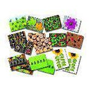 LADYBUGS EARLY NUMBER CARDS-Supplies-JadeMoghul Inc.