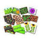 LADYBUGS EARLY NUMBER CARDS-Supplies-JadeMoghul Inc.