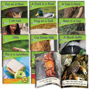 Learning Materials Nonfiction Readers Blends JUNIOR LEARNING