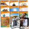 Learning Materials Nonfiction Readers Letter Sounds JUNIOR LEARNING
