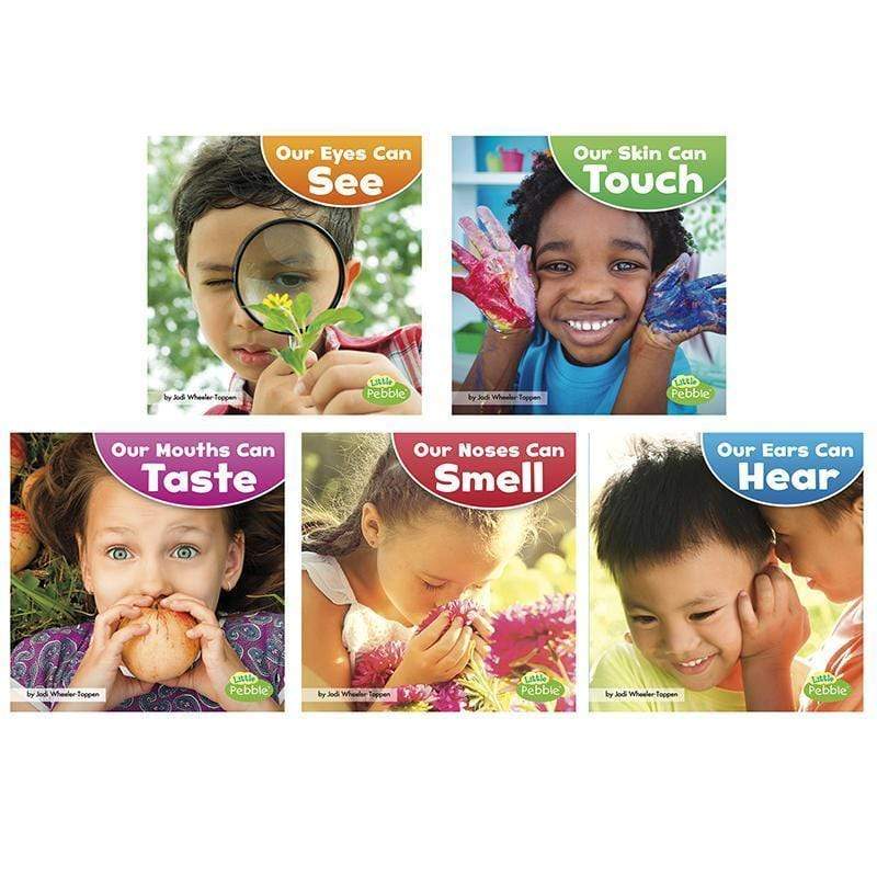 Learning Materials Our Amazing Senses St Of 5 Books CAPSTONE / COUGHLAN PUB