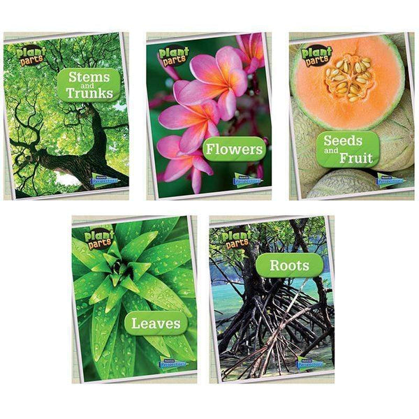 Learning Materials Plant Parts Book Set Of 5 CAPSTONE / COUGHLAN PUB