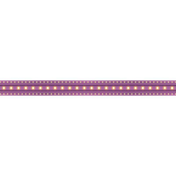 Learning Materials Purple Marquee Straight Border Trim TEACHER CREATED RESOURCES