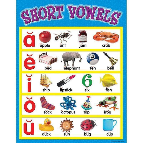 Learning Materials Short Vowels Chart 17 X 22 TEACHER CREATED RESOURCES