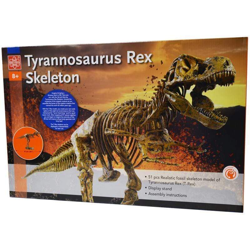 T Rex Skeleton