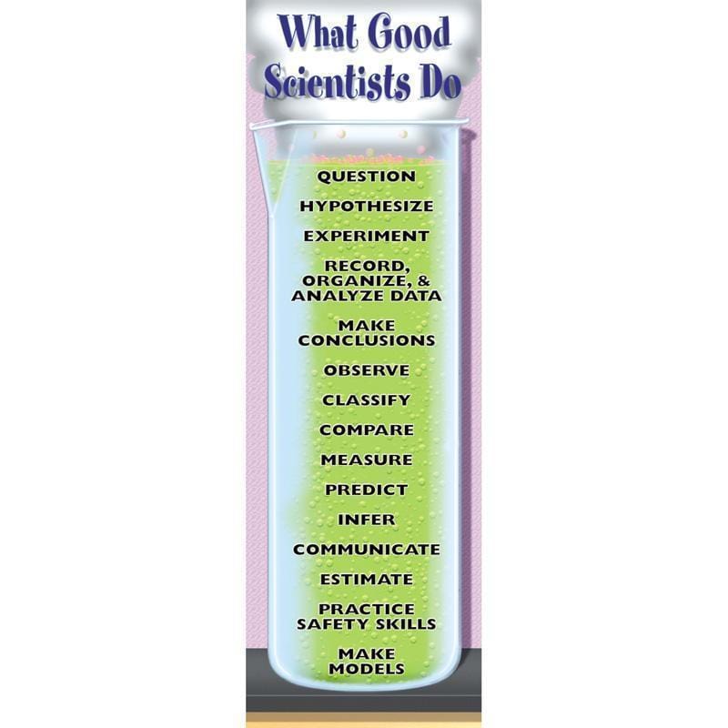 What Good Scientists Do
