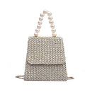 Summer Themed Straw Woven Pattern Pearl Handle Metal Chain Bag