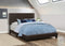 Leather Upholstered Queen Size Platform Bed, Brown-Bedroom Furniture-Brown-Leather and Wood-JadeMoghul Inc.