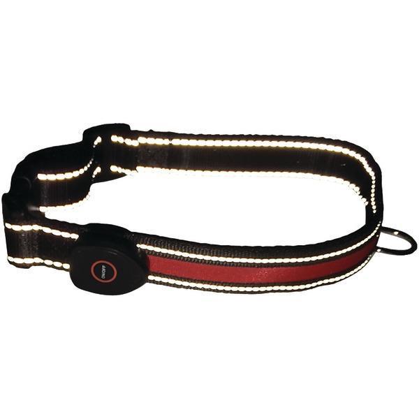 LED Dog Collar (Medium)-Pet Supplies-JadeMoghul Inc.