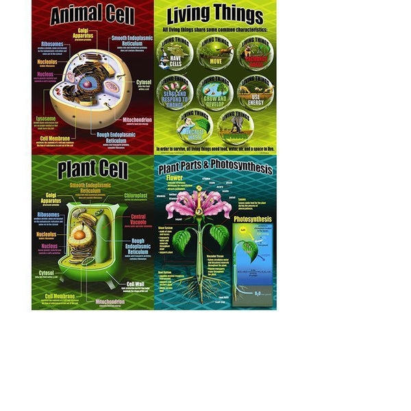 LIFE SCIENCE TEACHING POSTER SET-Learning Materials-JadeMoghul Inc.
