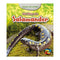 LIFE STORY OF A SALAMANDER-Learning Materials-JadeMoghul Inc.