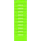 LIME POLKA DOTS 10 POCKET FILE-Learning Materials-JadeMoghul Inc.