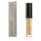 Lip Glace - Bronze Gold Accent - 4.5g/0.15oz-Make Up-JadeMoghul Inc.