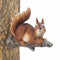Home Decor Ideas Lounging Squirrel Tree Decor