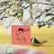 Love Bird Card Holders - Brushed Silver (Pack of 8)-Table Planning Accessories-JadeMoghul Inc.