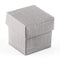 Lustrous Silver Favor Box with Lid (Pack of 10)-Favor Boxes Bags & Containers-JadeMoghul Inc.