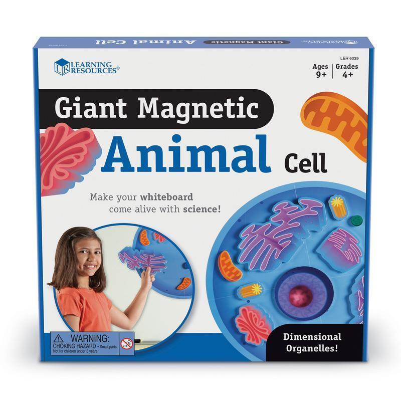 MAGNETIC ANIMAL CELLS-Learning Materials-JadeMoghul Inc.