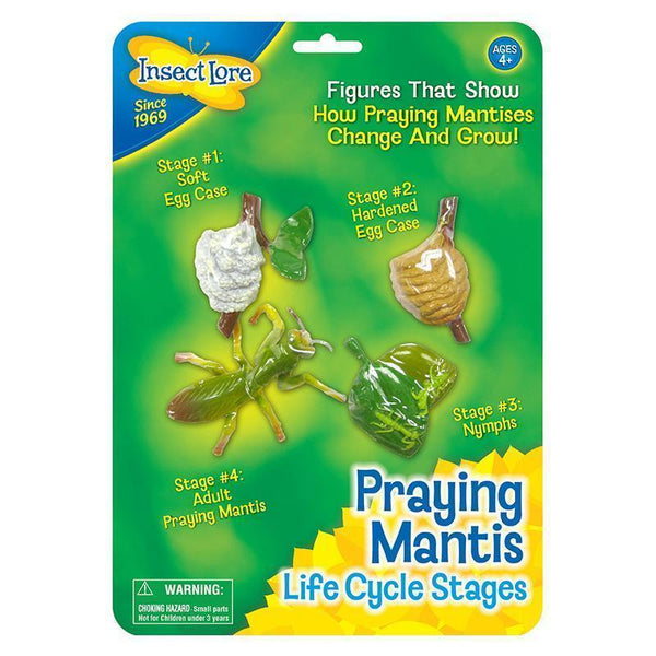 MANTIS LIFE CYCLE STAGES-Toys & Games-JadeMoghul Inc.