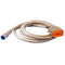 Maretron J2K100 Adapter Micro Female - Deutsche 12 Pin 2 Meter [MCF-2M-D12]-Network Accessories-JadeMoghul Inc.