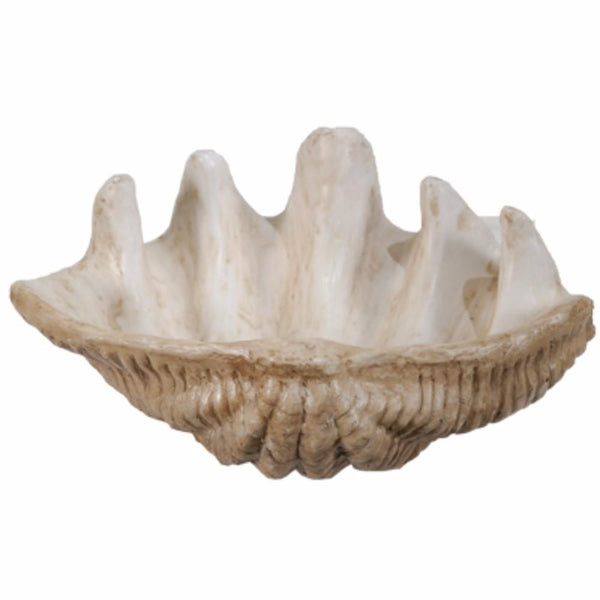 Medium Clam Shell Accent, White-Decorative Objects and Figurines-White-marmag polycarbafil-JadeMoghul Inc.