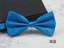 Men's Fashion Silk BowTie-lake blue-JadeMoghul Inc.