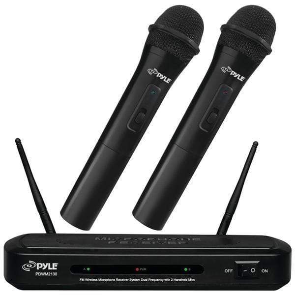 FM Wireless Dual-Frequency Microphone Receiver System with 2 Handheld Microphones
