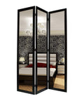 Mirrors Black Mirror - 1" x 50" x 69" Black, Glass & Wood, Mirror - Screen HomeRoots
