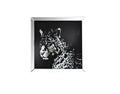 Mirrors Square Shape Mirror framed Leopard Wall Decor With Crystal Inlays, Black & Silver Benzara