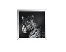 Mirrors Square Shape Mirror framed Leopard Wall Decor With Crystal Inlays, Black & Silver Benzara