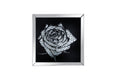 Mirrors Square Shape Mirror framed Rose Wall Decor With Crystal Inlays, Black & Silver Benzara