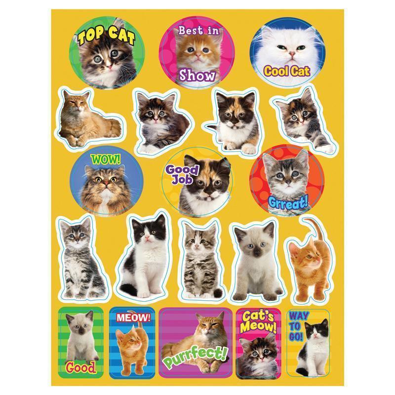 MOTIVATIONAL CATS THEME STICKERS-Learning Materials-JadeMoghul Inc.