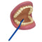 MOUTH PUPPET-Toys & Games-JadeMoghul Inc.