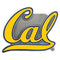 NCAA - Cal Berkeley Bears Hitch Cover Class III Wire Plugs-Automotive Accessories,Hitch Covers,Cast Metal Hitch Covers Class III,College Cast Metal Hitch Covers Class III-JadeMoghul Inc.