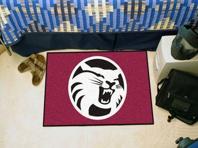 Outdoor Mat NCAA Cal State Chico Starter Rug 19"x30"