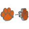 NCAA - Clemson Tigers Stud Earrings-Jewelry & Accessories,Earrings,Stud Earrings,College Stud Earrings-JadeMoghul Inc.