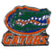 NCAA - Florida Gators Hitch Cover Class III Wire Plugs-Automotive Accessories,Hitch Covers,Cast Metal Hitch Covers Class III,College Cast Metal Hitch Covers Class III-JadeMoghul Inc.