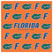 NCAA - Florida Gators Microfiber Cleaning Cloth-Sunglasses, Eyewear & Accessories,Microfiber Cleaning Cloths,College Microfiber Cleaning Cloths-JadeMoghul Inc.