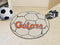 Cheap Rugs Online NCAA Florida "Gators" Script Soccer Ball 27" diameter