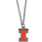 NCAA - Illinois Fighting Illini Chain Necklace with Small Charm-Jewelry & Accessories,Necklaces,Chain Necklaces,College Chain Necklaces-JadeMoghul Inc.