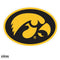 NCAA - Iowa Hawkeyes 8 inch Logo Magnets-Home & Office,Magnets,8 inch Logo Magnets,College 8 inch Logo Magnets-JadeMoghul Inc.