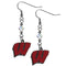 NCAA - Wisconsin Badgers Crystal Dangle Earrings-Jewelry & Accessories,Earrings,Crystal Dangle Earrings,College Crystal Earrings-JadeMoghul Inc.